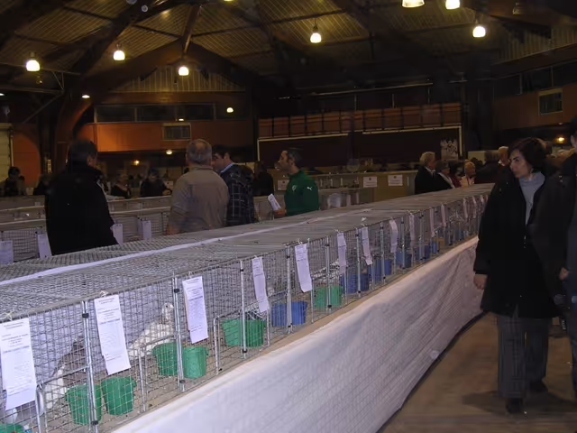 Stand du club présentant les pigeons voyageurs et leur histoire au public